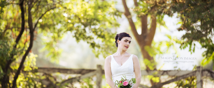 Magination Images Wedding Photography – Shady Grove Farm